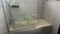 Carlisle Road (D8), Terrace #601045411